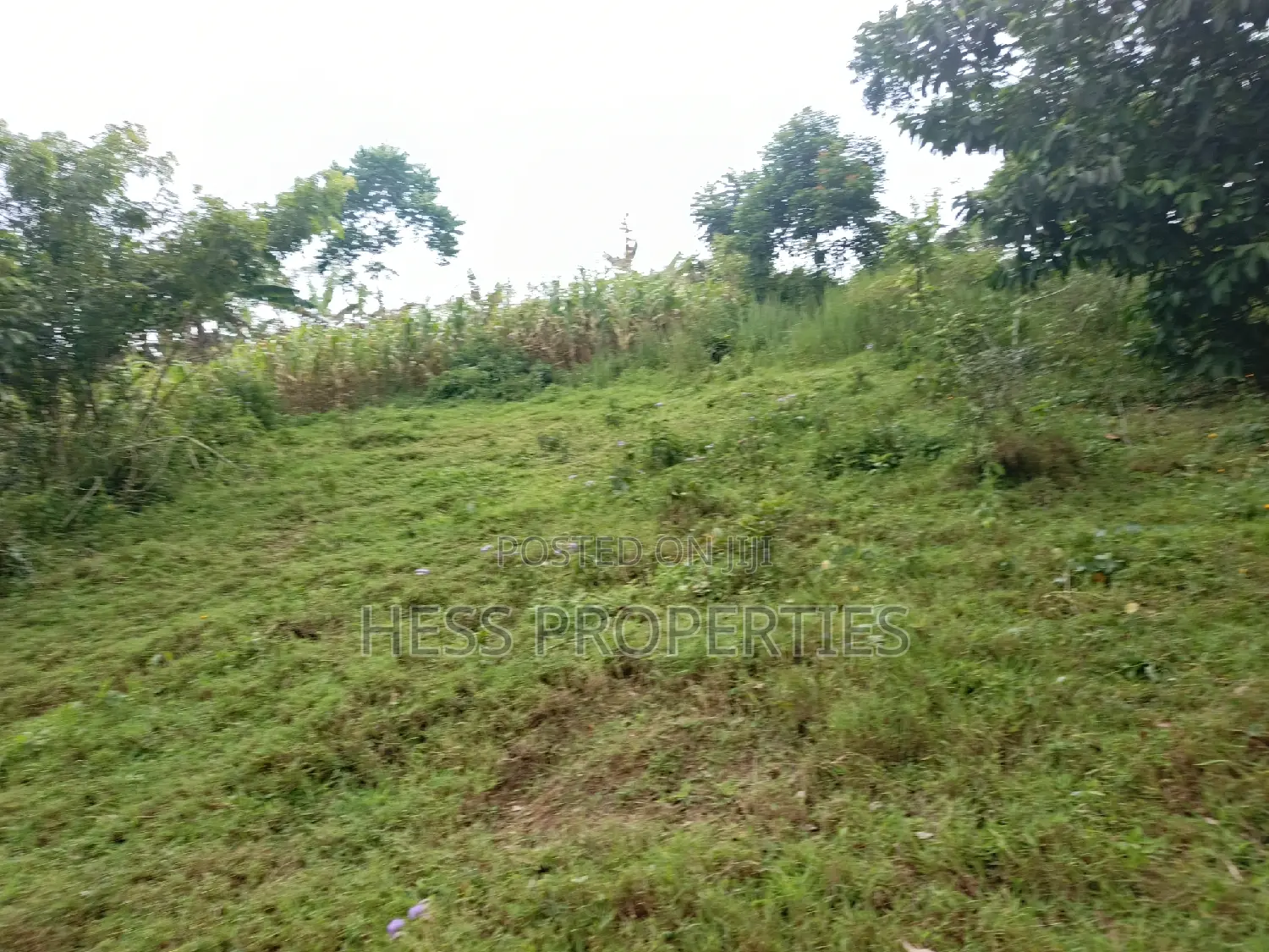 Agricultural Land on Sale
