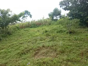 Agricultural Land on Sale