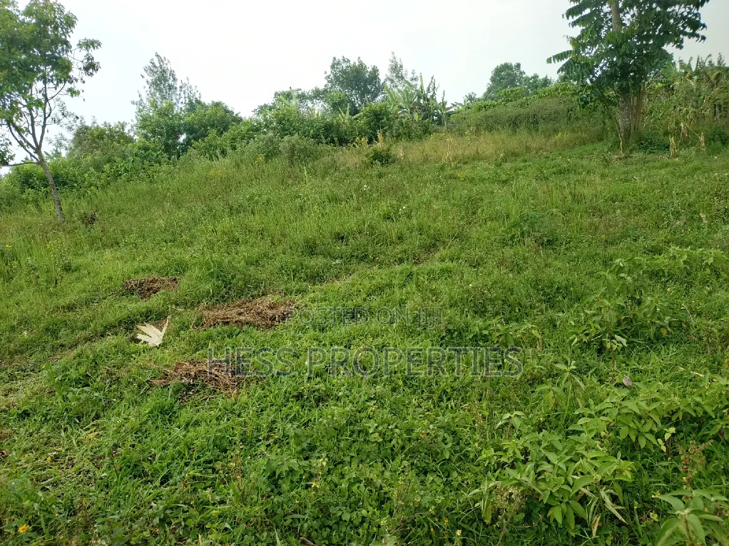 Agricultural Land on Sale