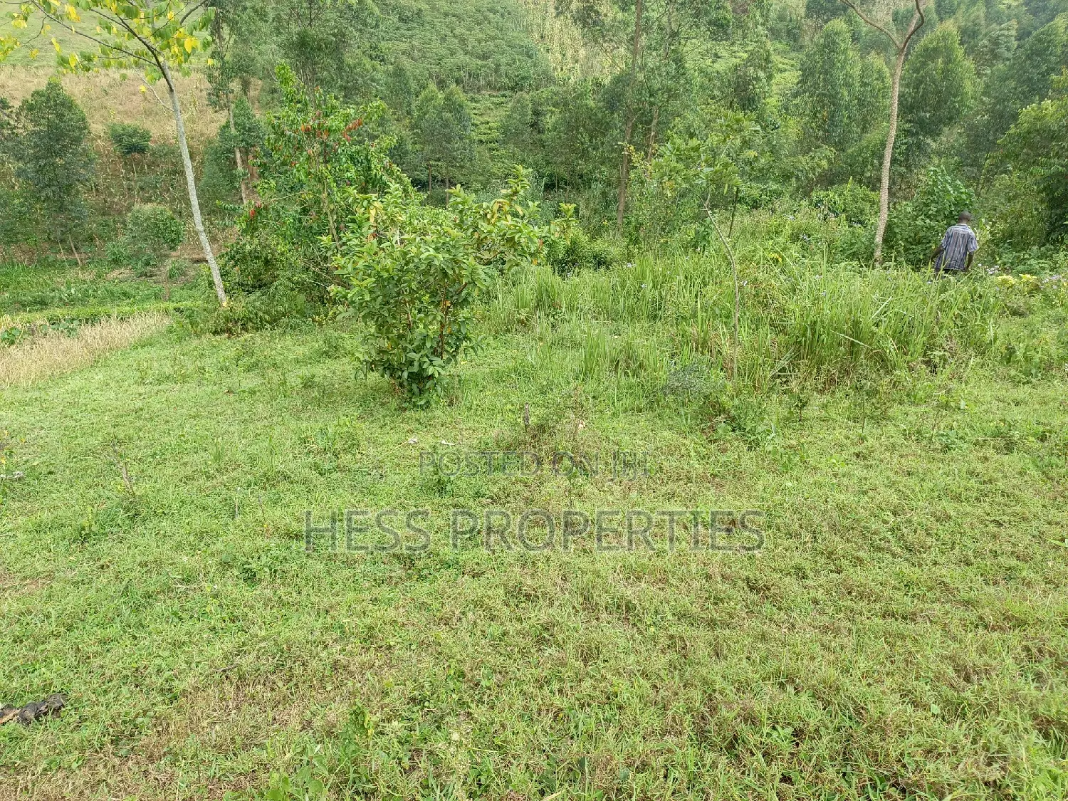 Agricultural Land on Sale