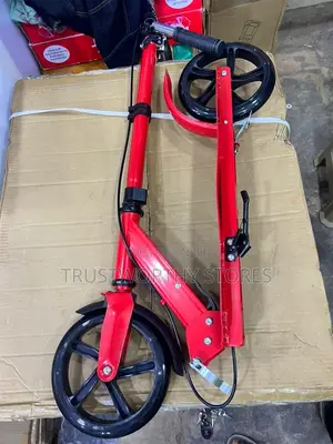 Metallic Scooter- 5years and Above