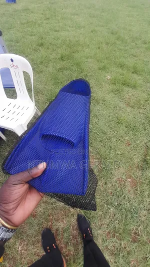 Photo - Flippers / Fins