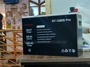 Raystech Lithium Battery 100ah