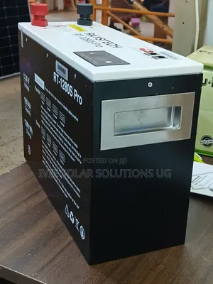 Raystech Lithium Battery 100ah