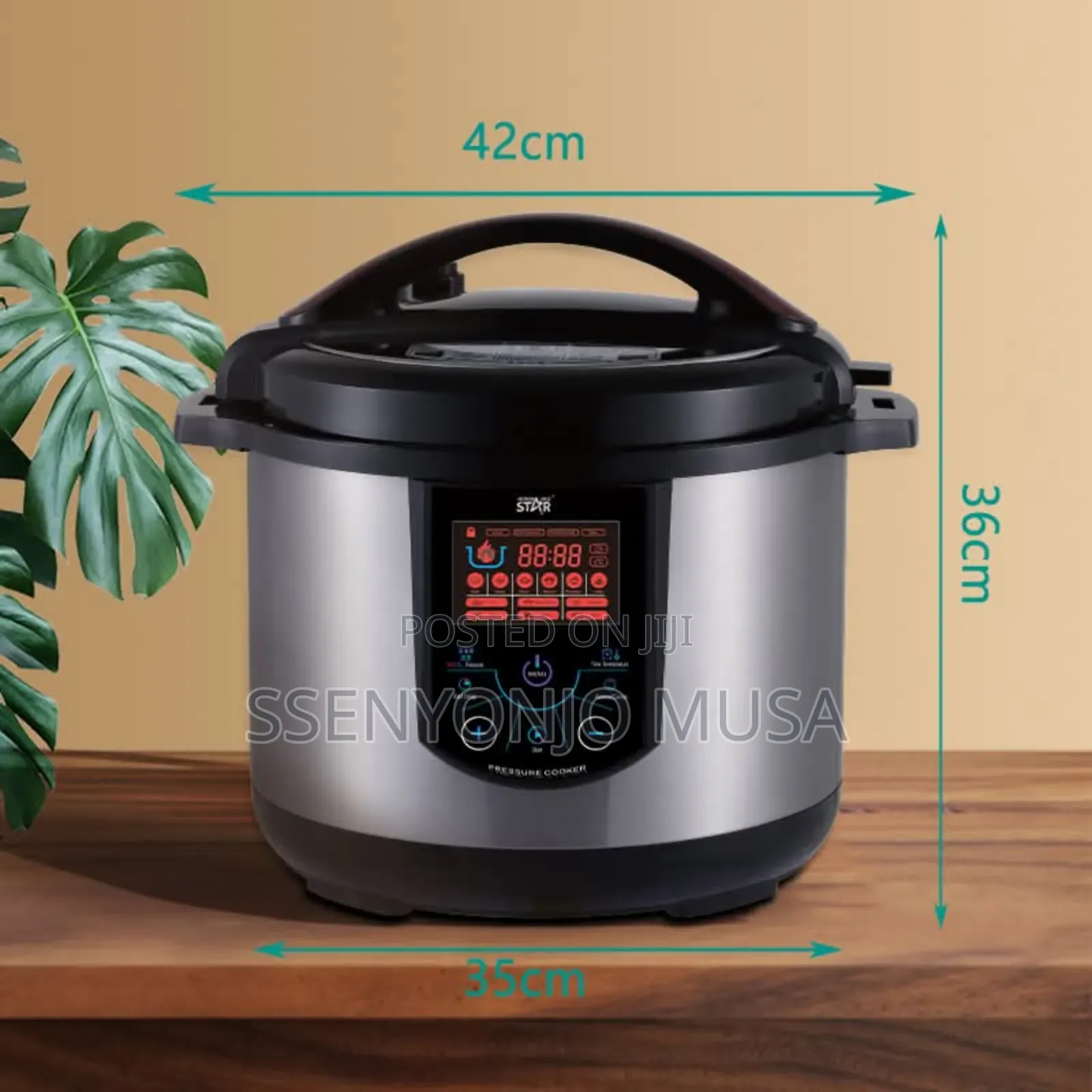 Winningstar 10l Multi-Function Electric Pressure Cooker-