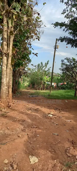 Photo - Titled 50x100ft Plot for Sale at Katikamu