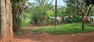 Titled 50x100ft Plot for Sale at Katikamu
