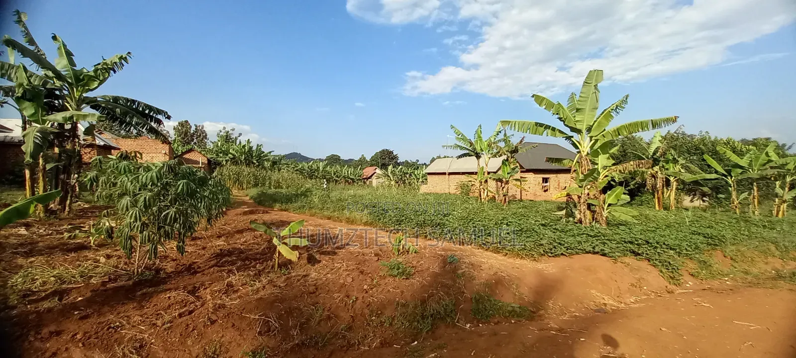 Titled 50x100ft Plot for Sale at Katikamu