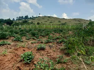 Photo - 100x50ft Land in Bujuuko.