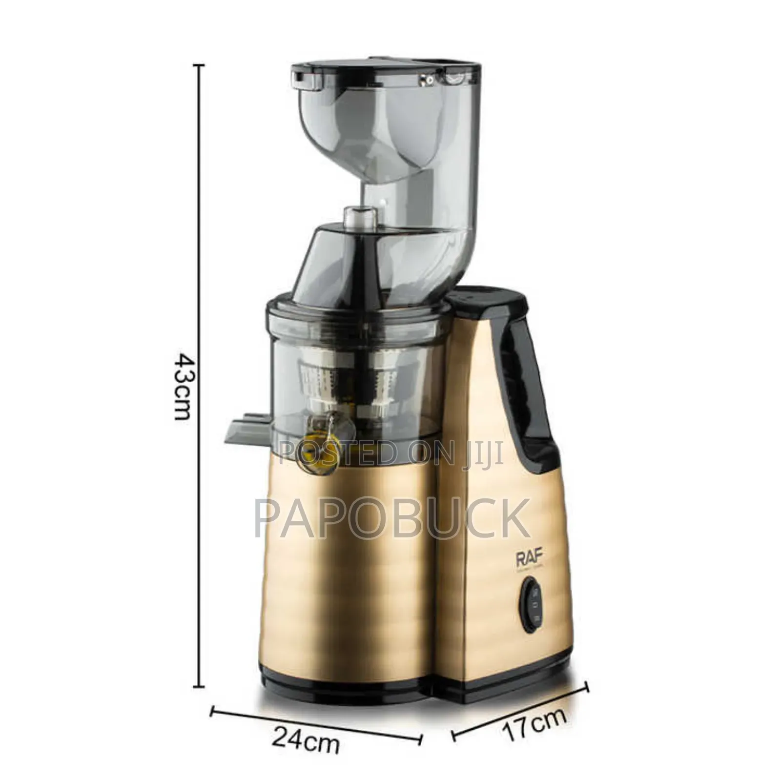 Raf Powerful Slow Juicer