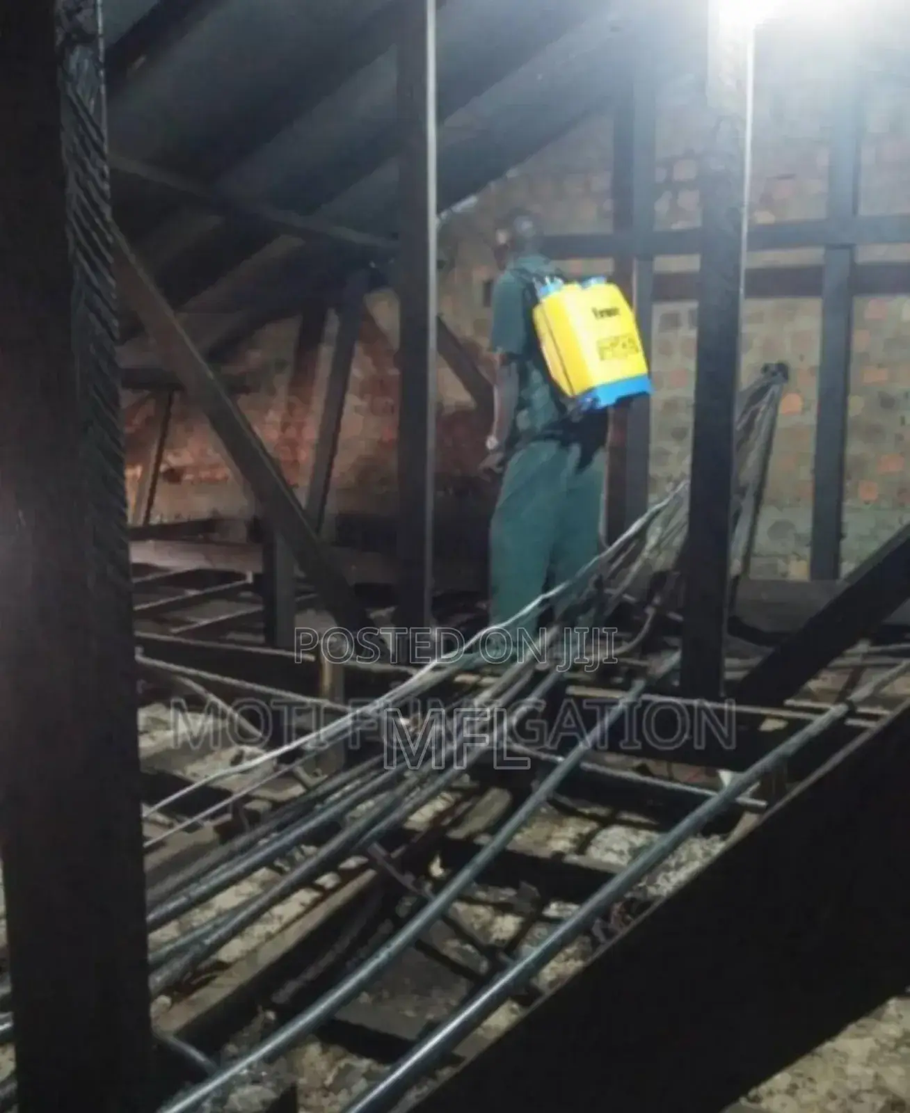 Rat/Bat Fumigation and Control