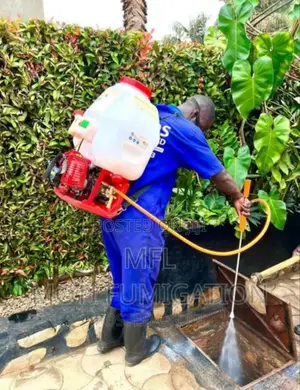 Home Fumigation and Pest-Control Services in Kampala