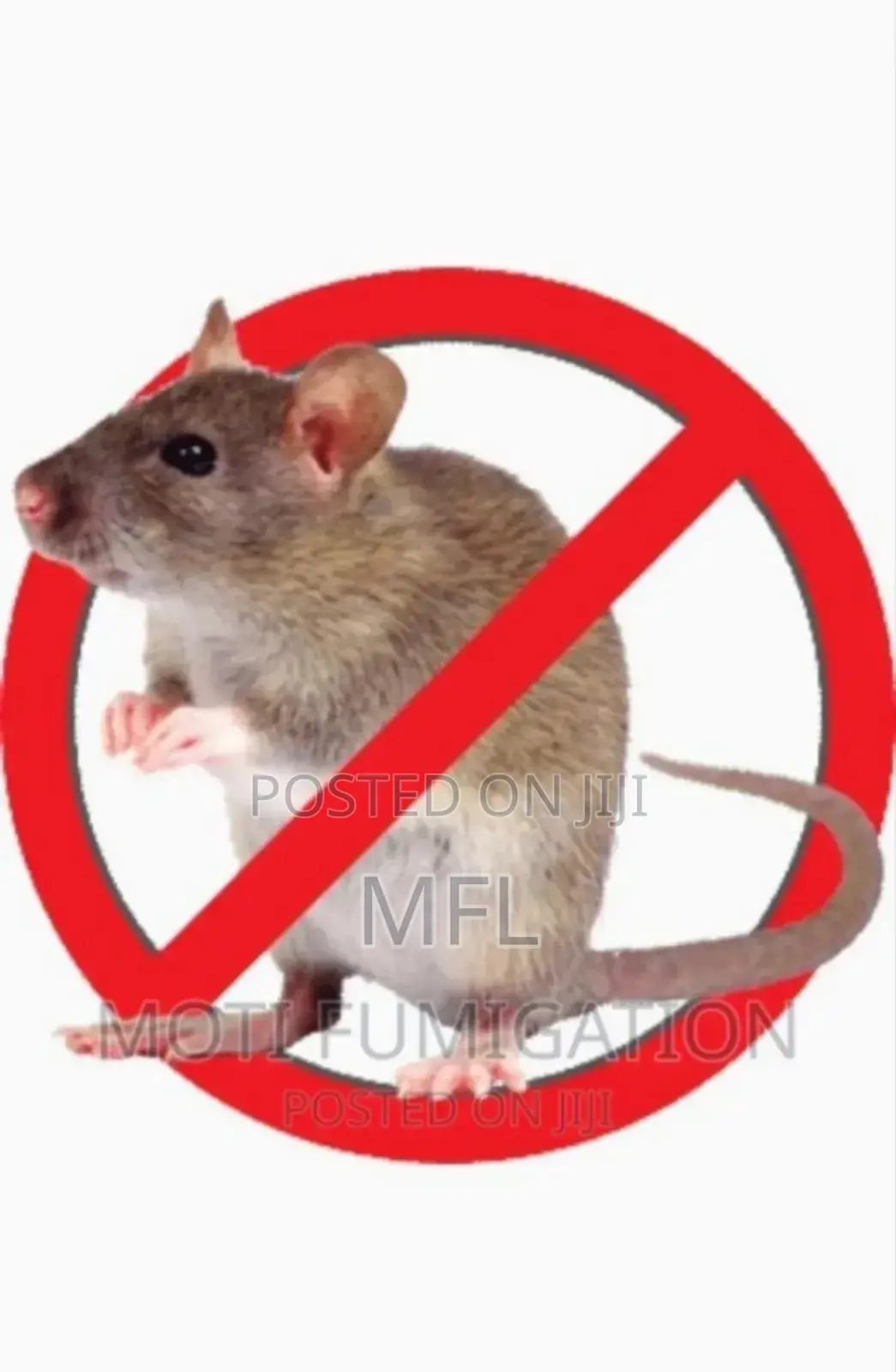 Rat Fumigation