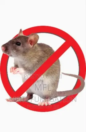 Rat Fumigation