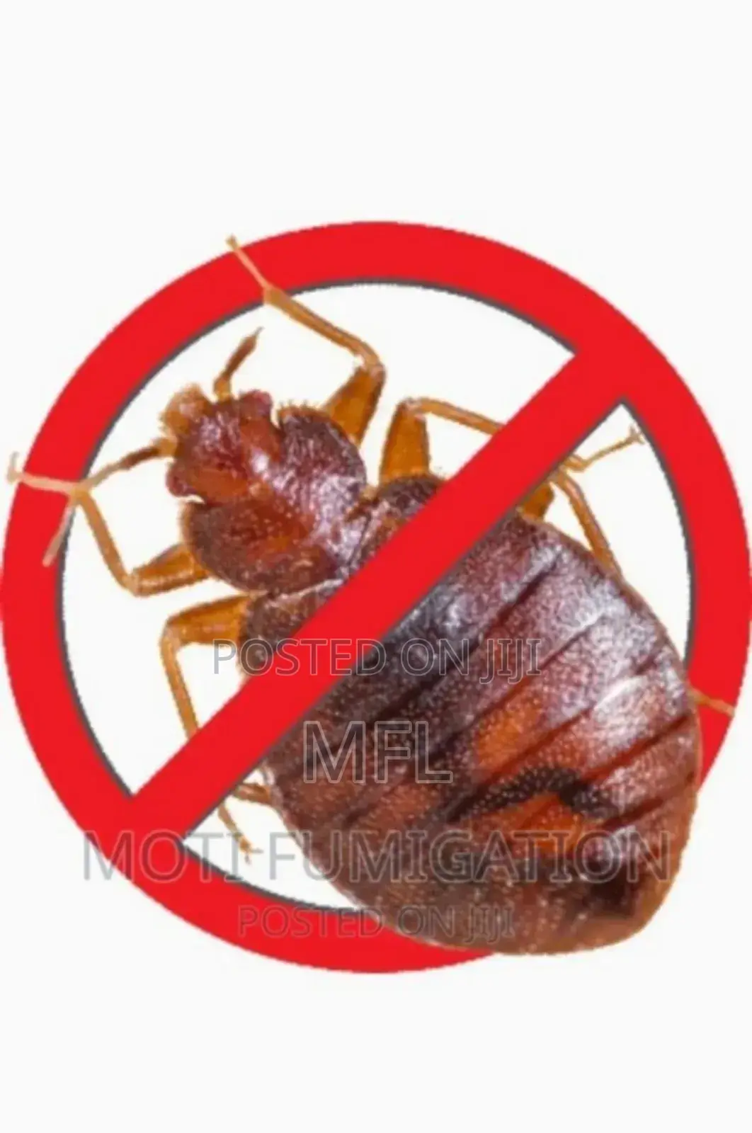 Bedbugs Complete Removal