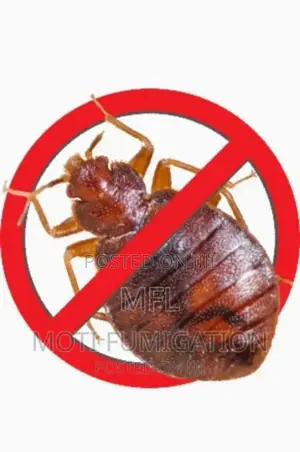 Bedbugs Complete Removal