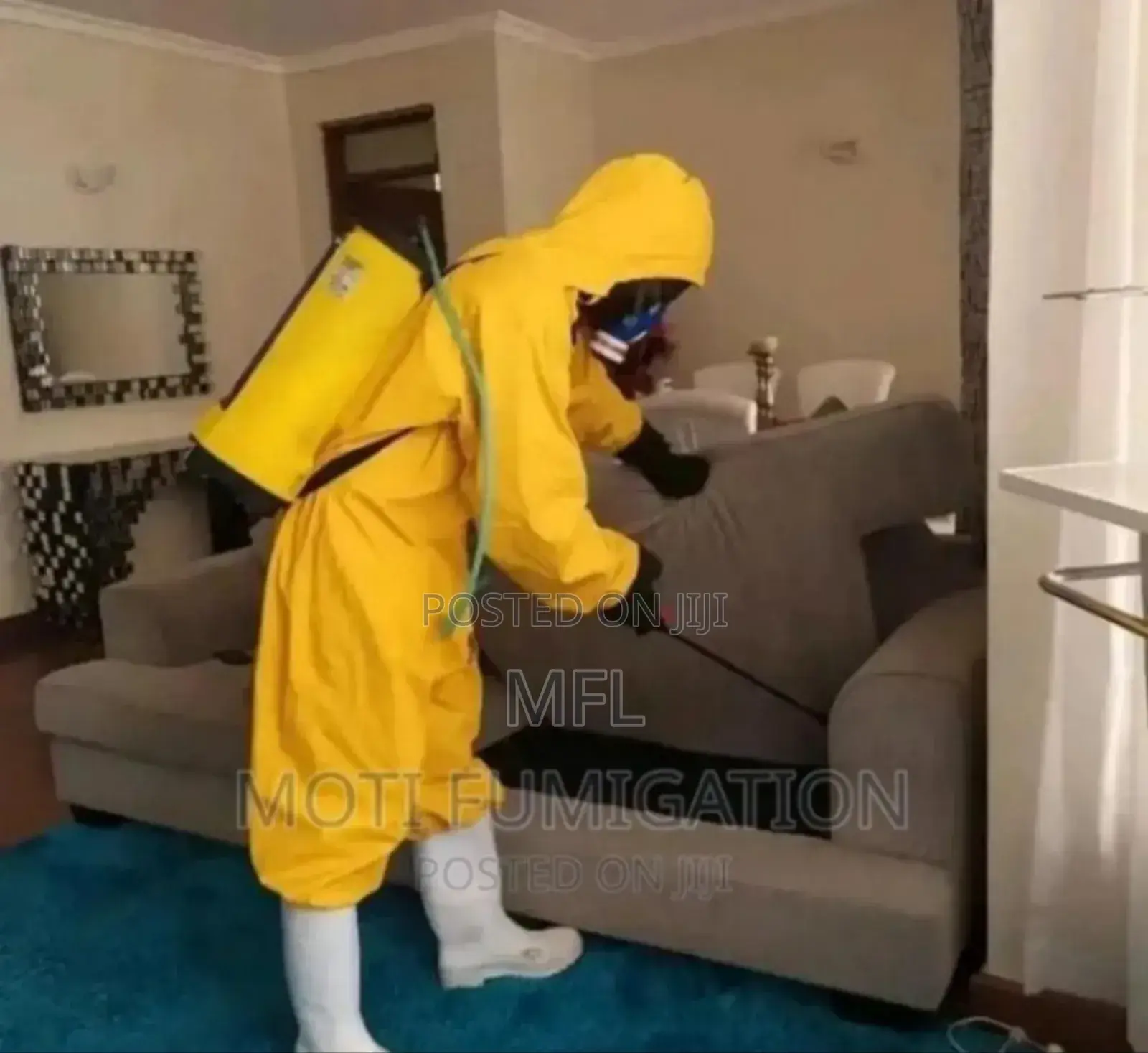 House Bedbugs Fumigation