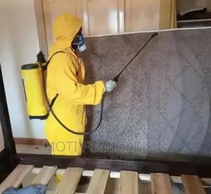 Bedbug Removal Services