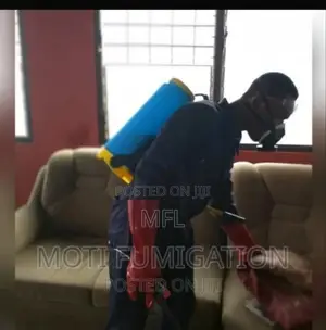 Bedbugs Spraying