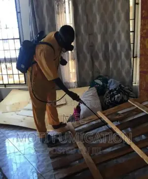 Detailed Bedbug Fumigation