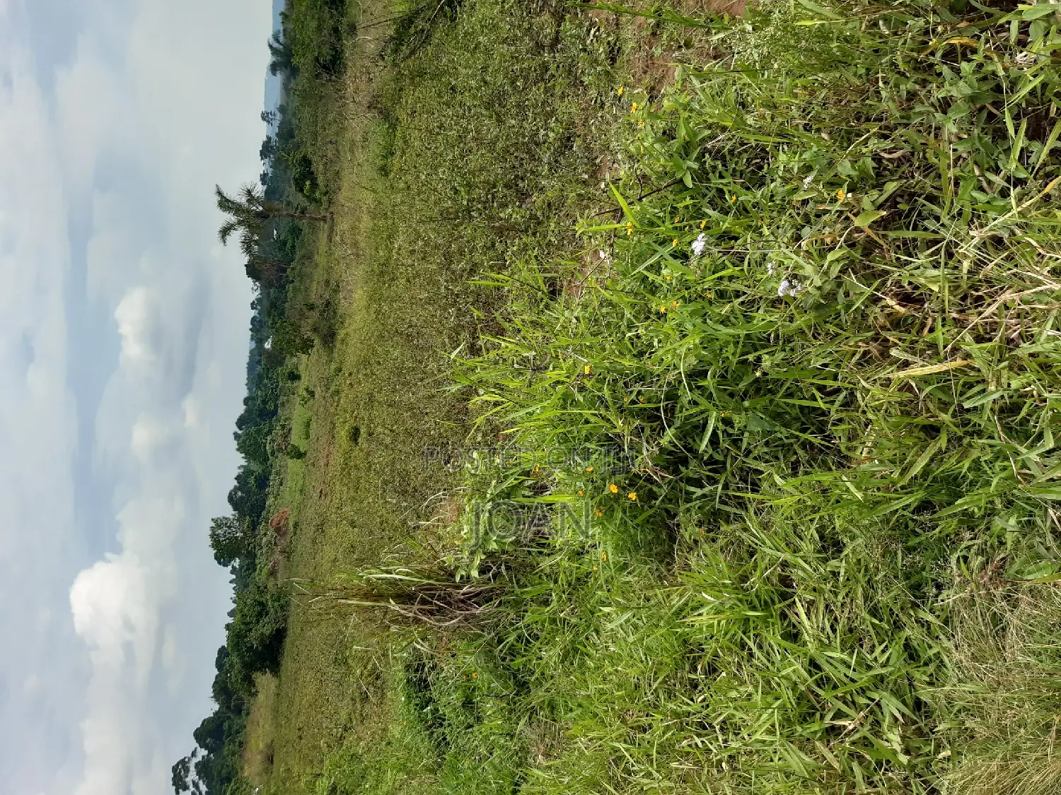 50/100ft in Budo, Masaka Road at 65m