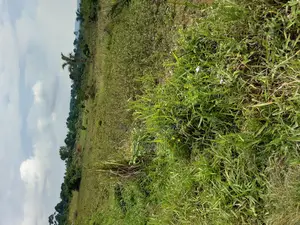 50/100ft in Budo, Masaka Road at 65m