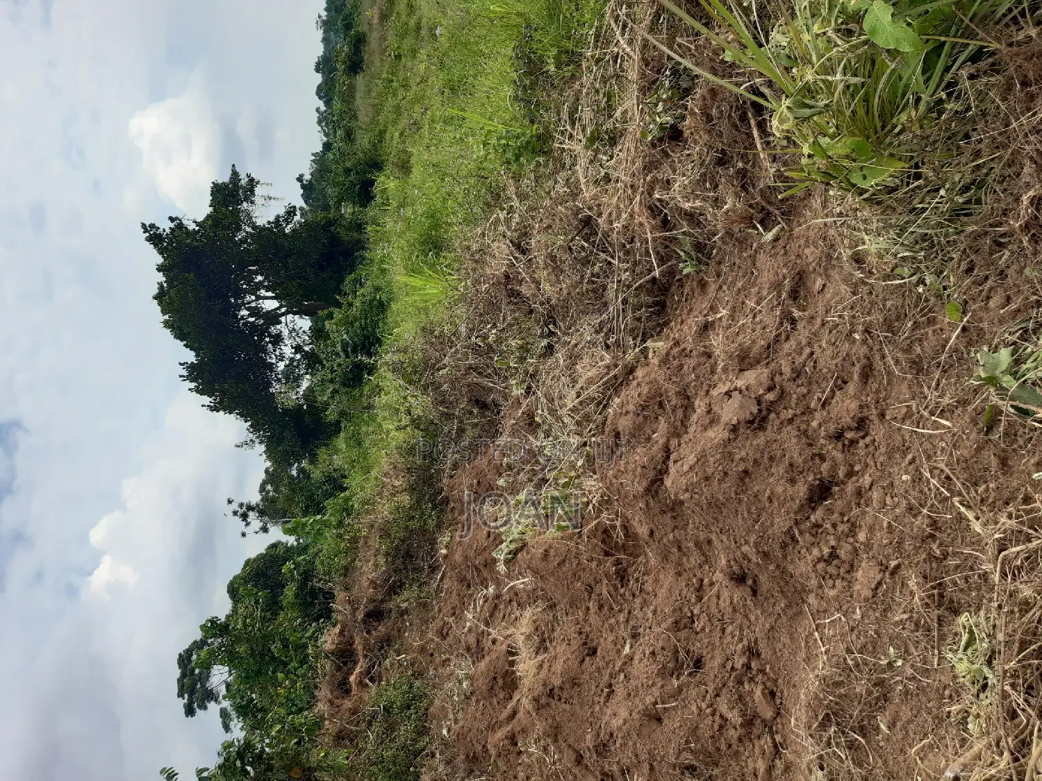 50/100ft in Budo, Masaka Road at 65m