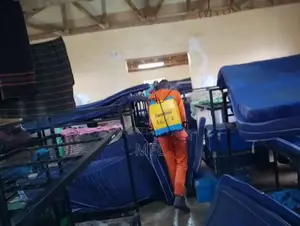 Fumigation of Bedbugs in Schools