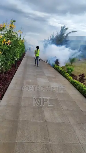 Mosquito Fogging Services
