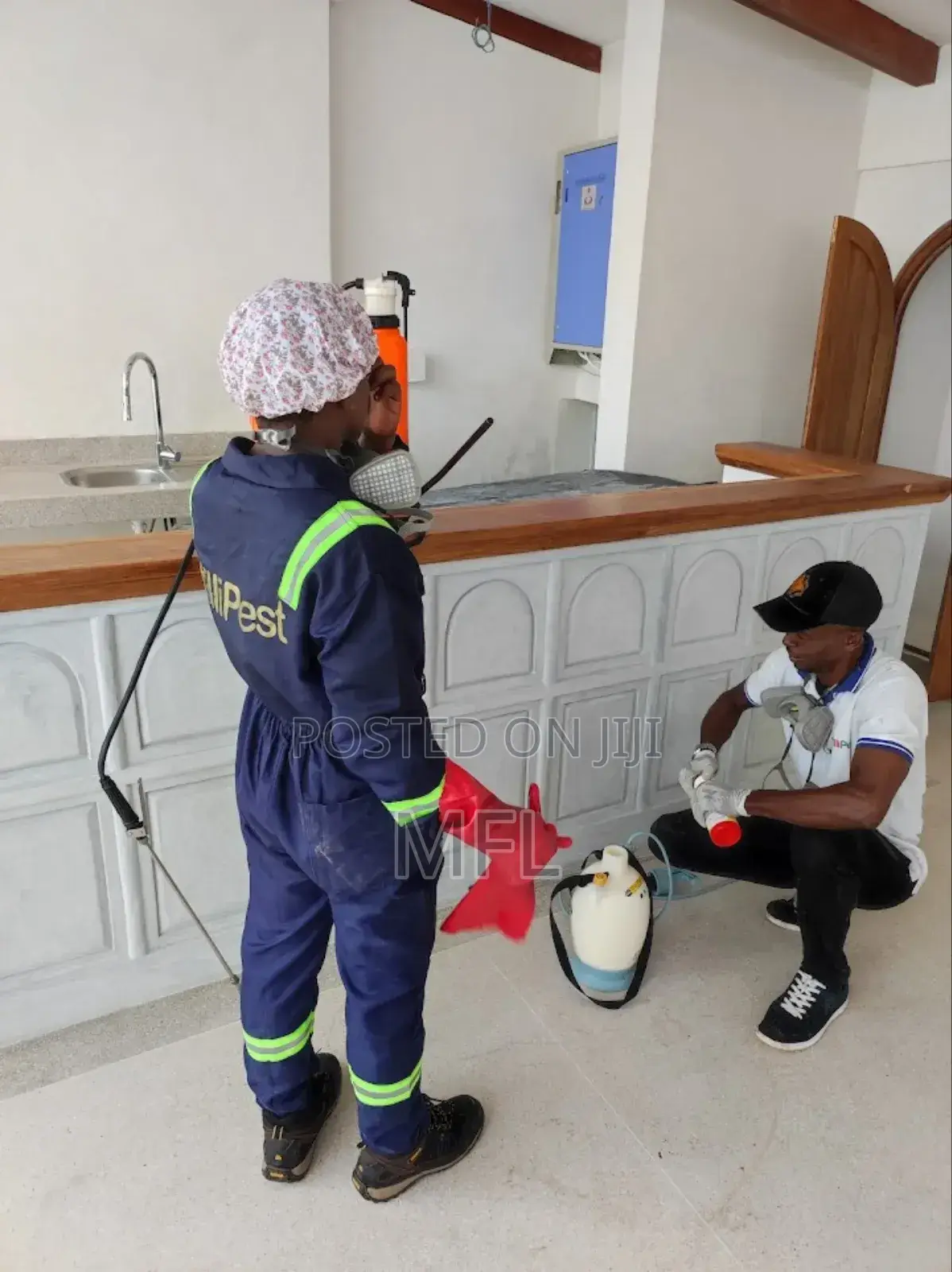 Pest-Control Experts
