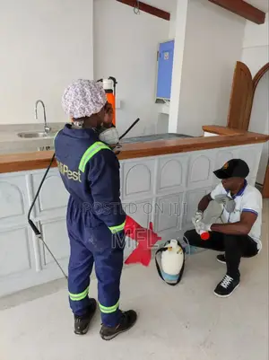 Pest-Control Experts
