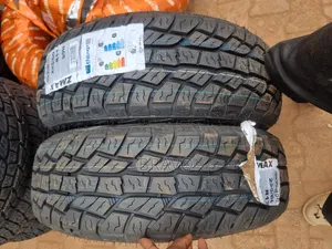 225/60r17 All Terrian Tires for Alphard.
