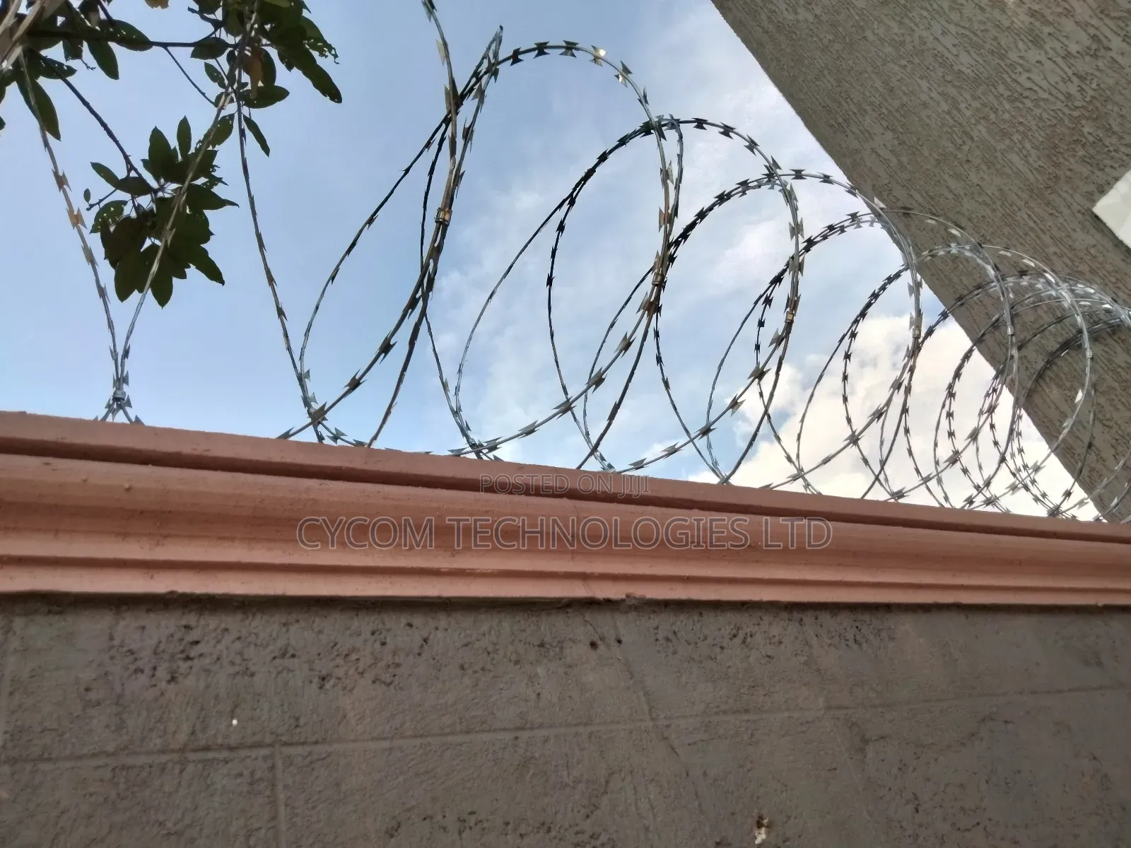 Razor Wire for Erimeterwall Protection 5mtrs