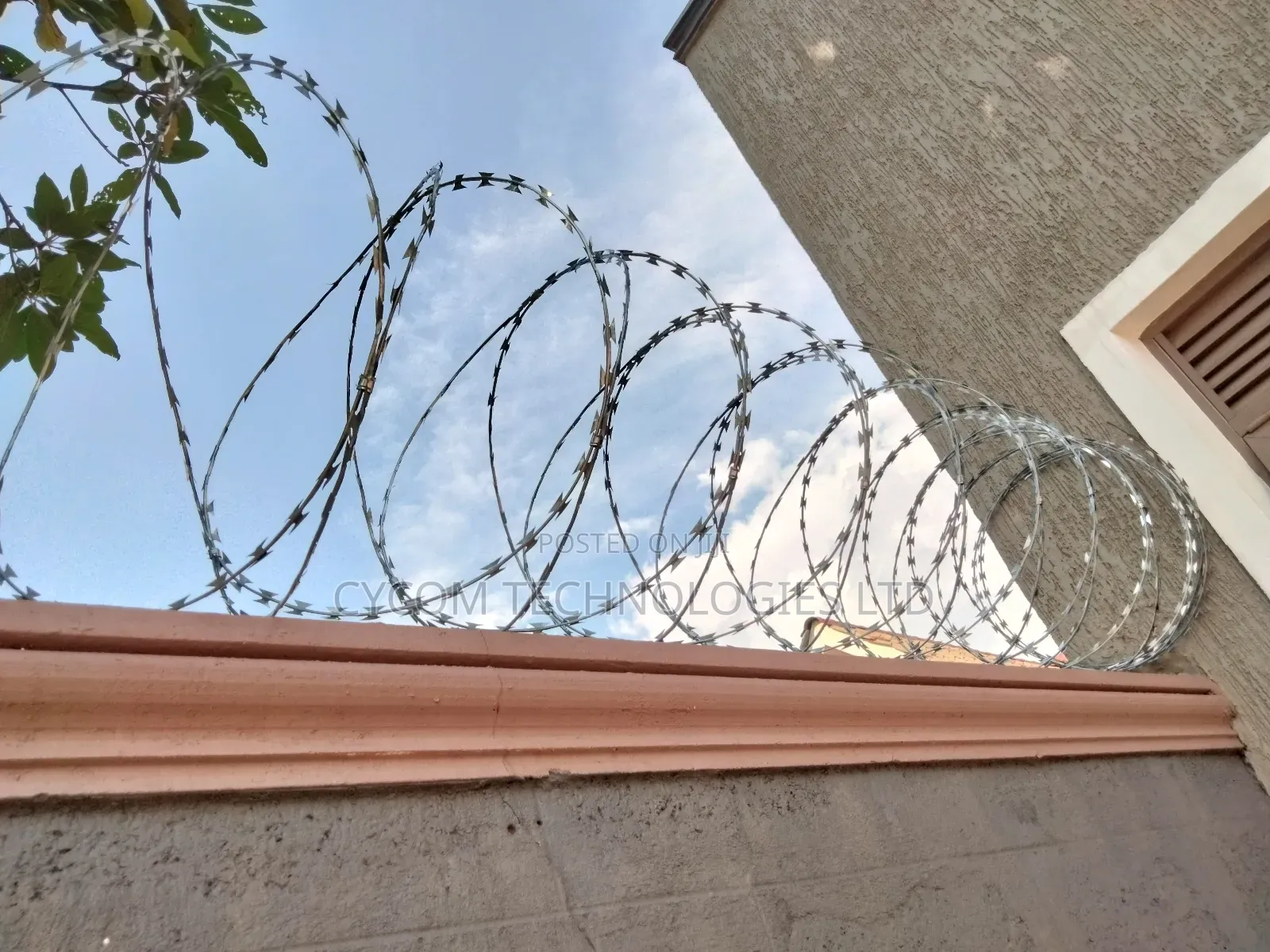 Razor Wire for Erimeterwall Protection 5mtrs