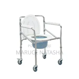 Bedside Commode Adult Potty