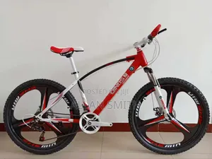 Kids Raised Bicycles