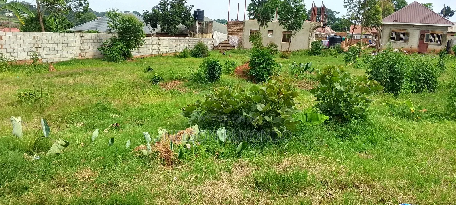 Land in Entebbe Kabale 115*150 FTS