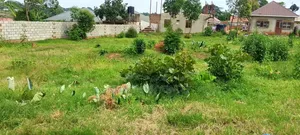 Land in Entebbe Kabale 115*150 FTS