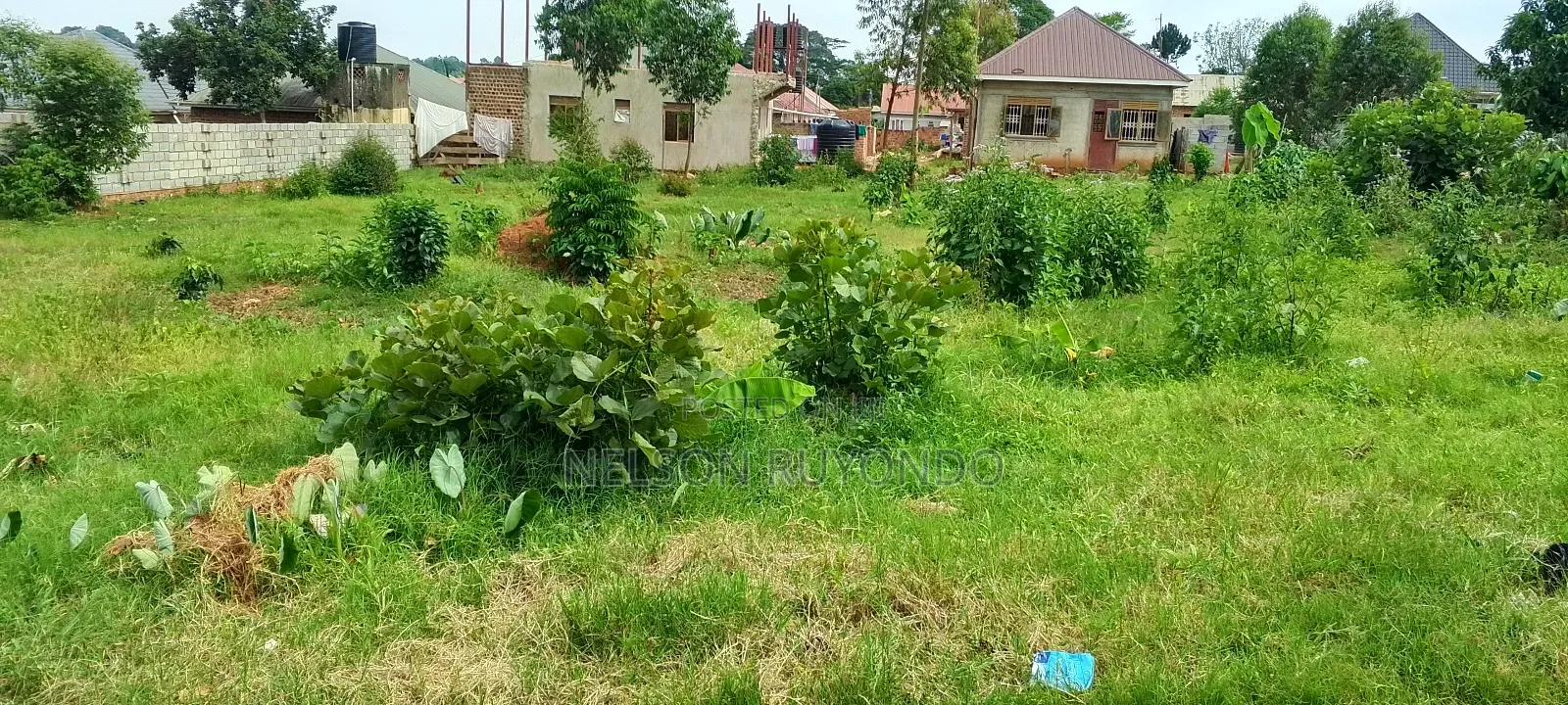 Land in Entebbe Kabale 115*150 FTS