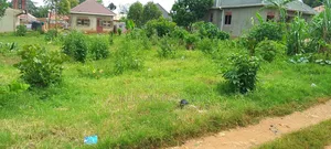 Land in Entebbe Kabale 115*150 FTS