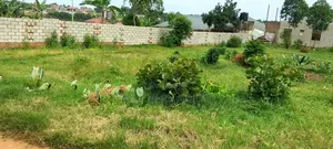 Land in Entebbe Kabale 115*150 FTS
