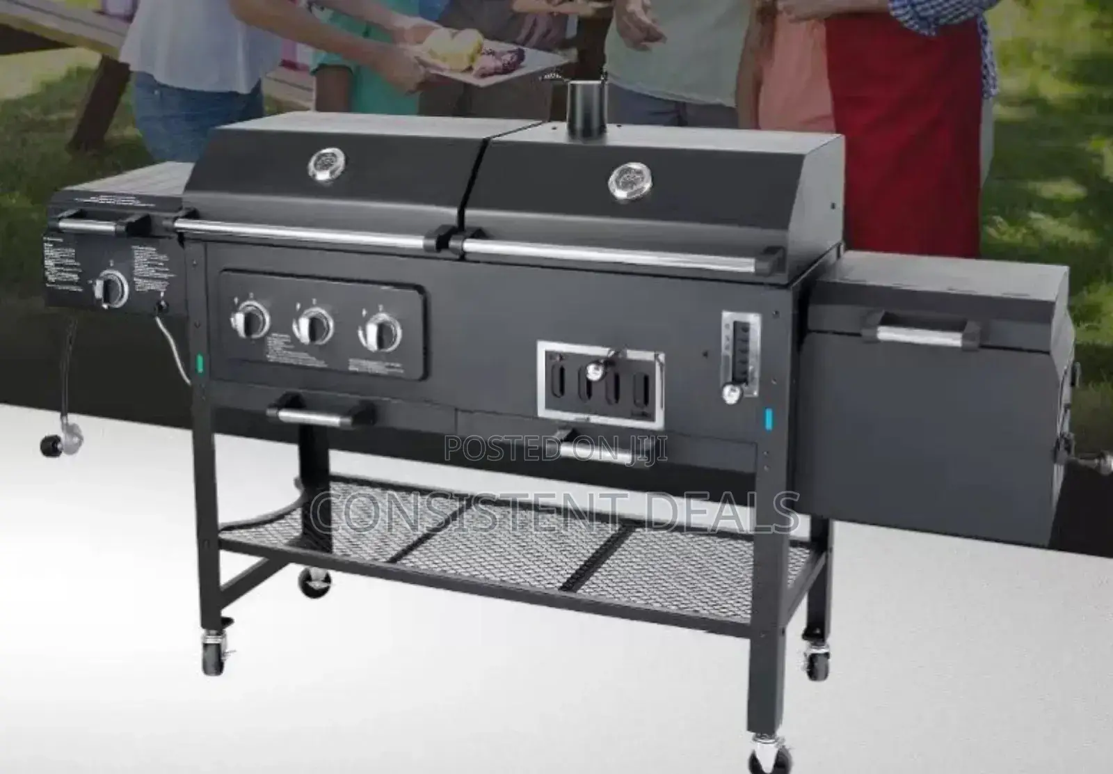 Commercial Kebab Barbecue Gas Charcoal Grill