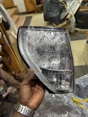 Prado Tx 1997 - 2001 Cornerlamp