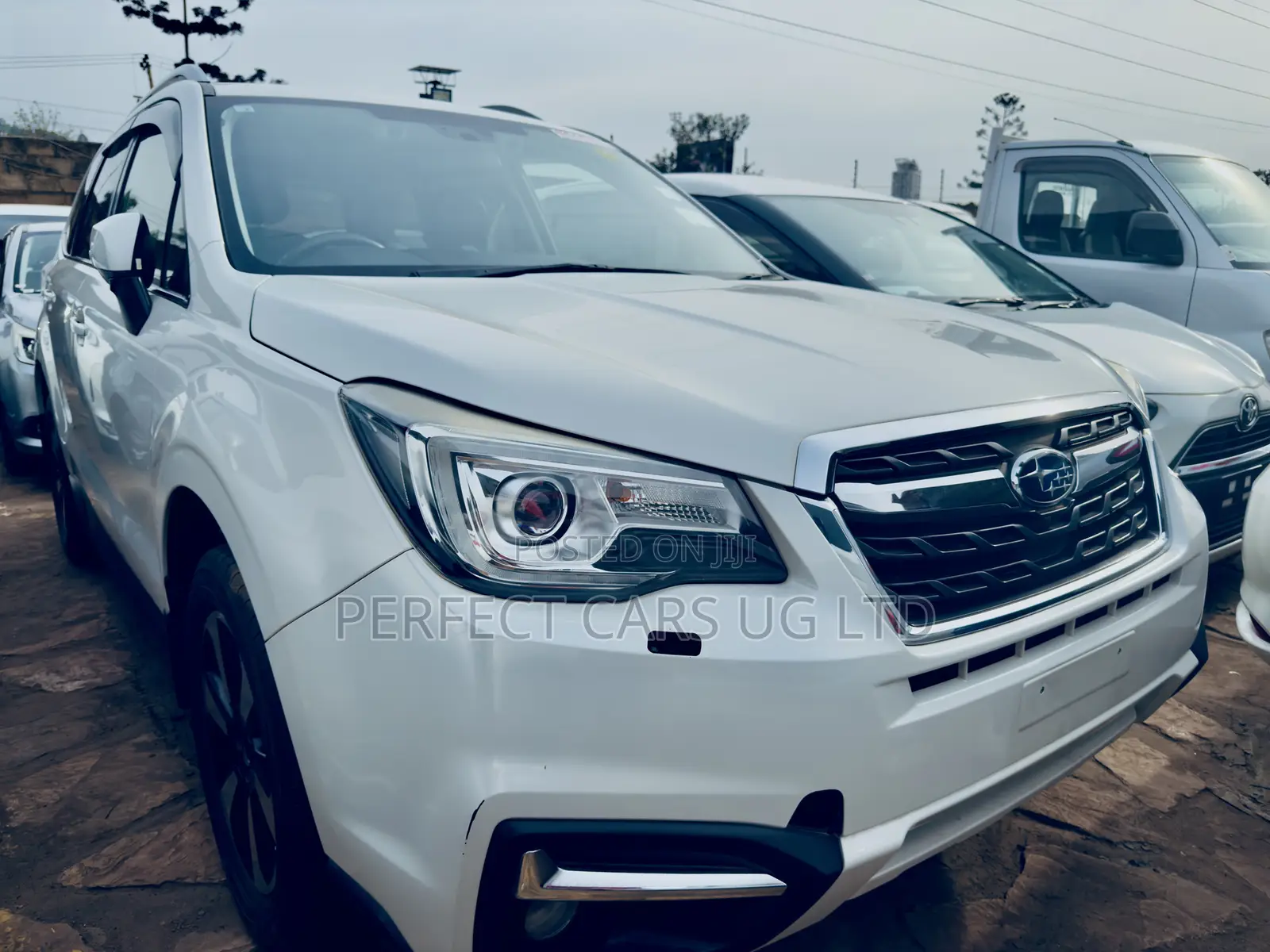 Subaru Forester 2.5i Premium AWD 2016 White