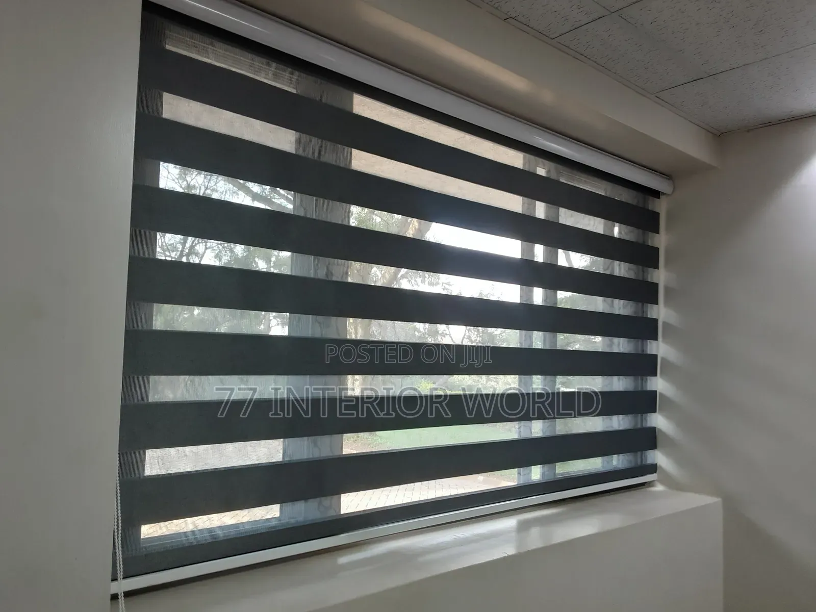 ZEBRA Window Blinds112