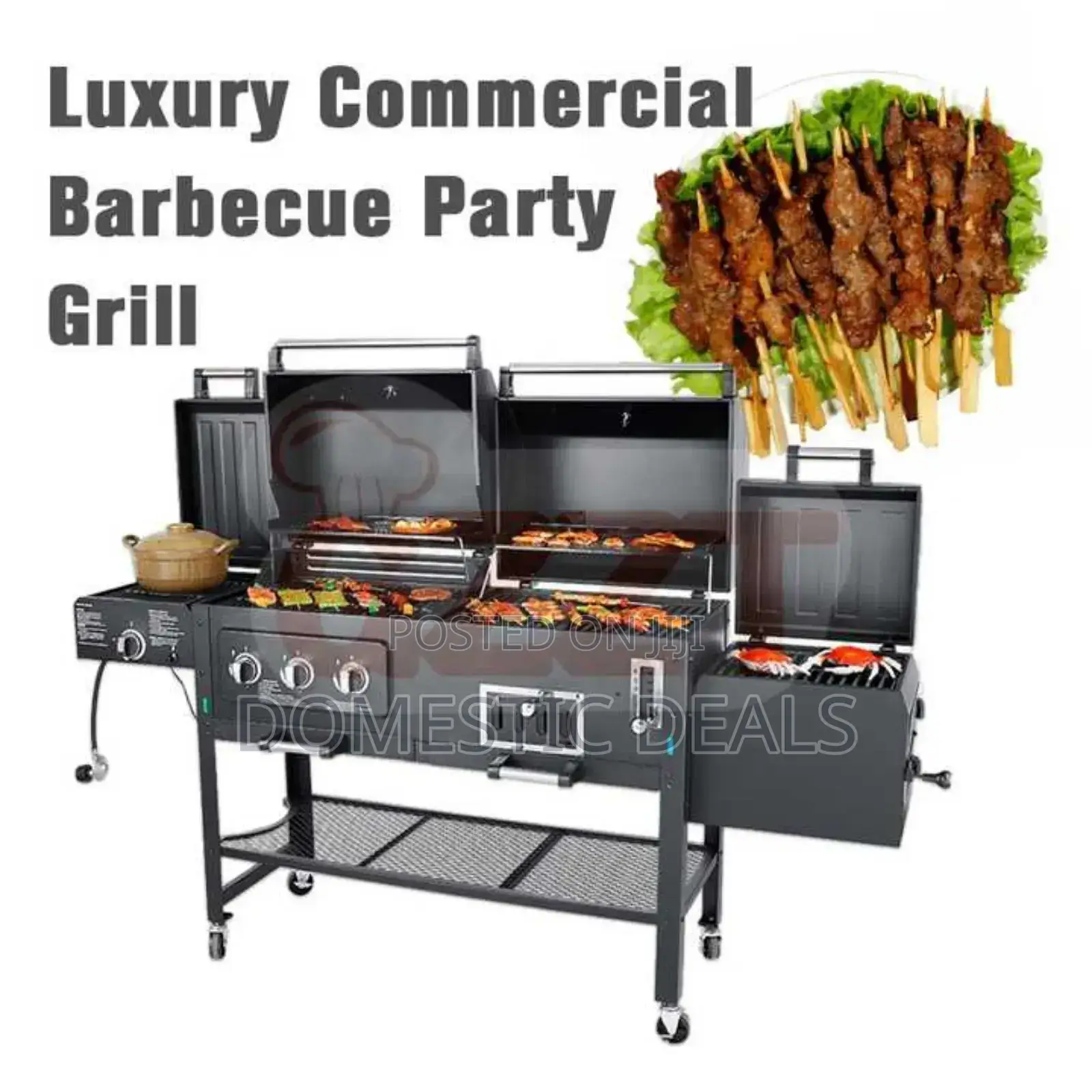 Luxury Commercial Gas and Charcoal BBQ Grill
