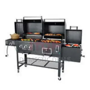 Commercial Gas and Charcoal Combined BBQ Grill