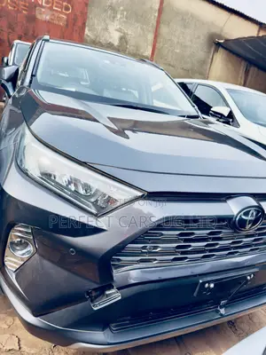 Toyota RAV4 XLE Premium AWD 2019 Gray