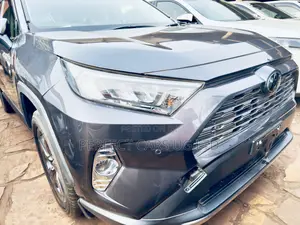 Toyota RAV4 XLE Premium AWD 2019 Gray