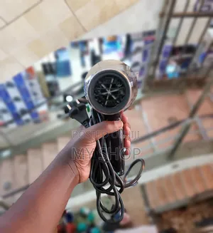 Hair Dryer (Sokany)
